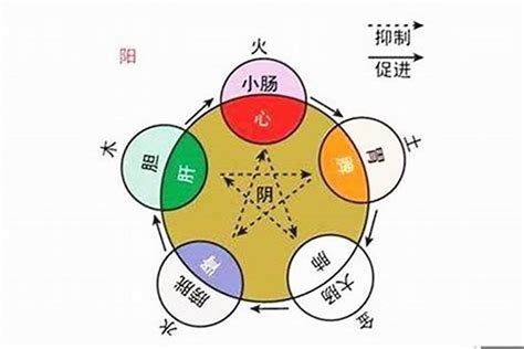 新字五行|新字的五行属性